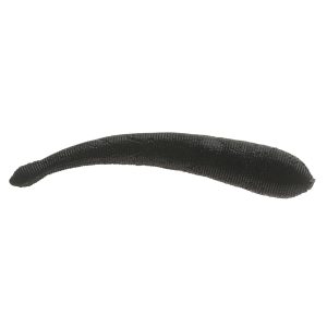 Gulp!  Leech