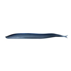 Gulp!  Saltwater Sand Eel