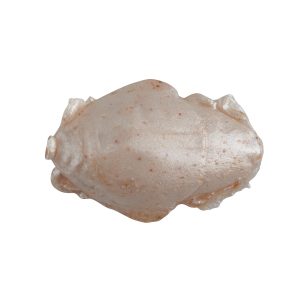 Gulp!  Saltwater Sand Crab Flea