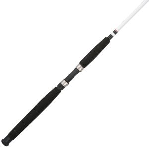 Big Game  Spinning Rod