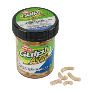 Gulp! Alive!  Maggots