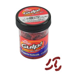 Gulp!  Maggot