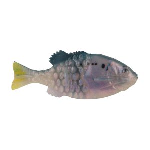 PowerBait Saltwater Gilly